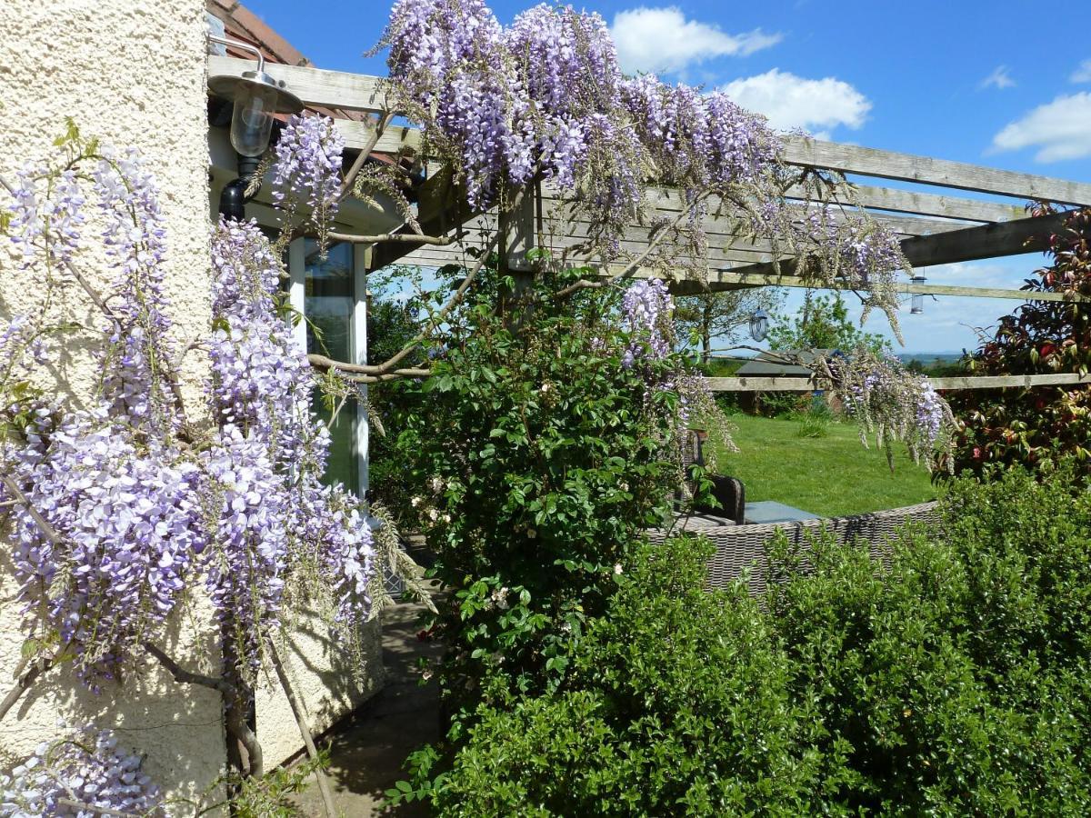 The Lodge, At Orchard Cottage Much Marcle 외부 사진