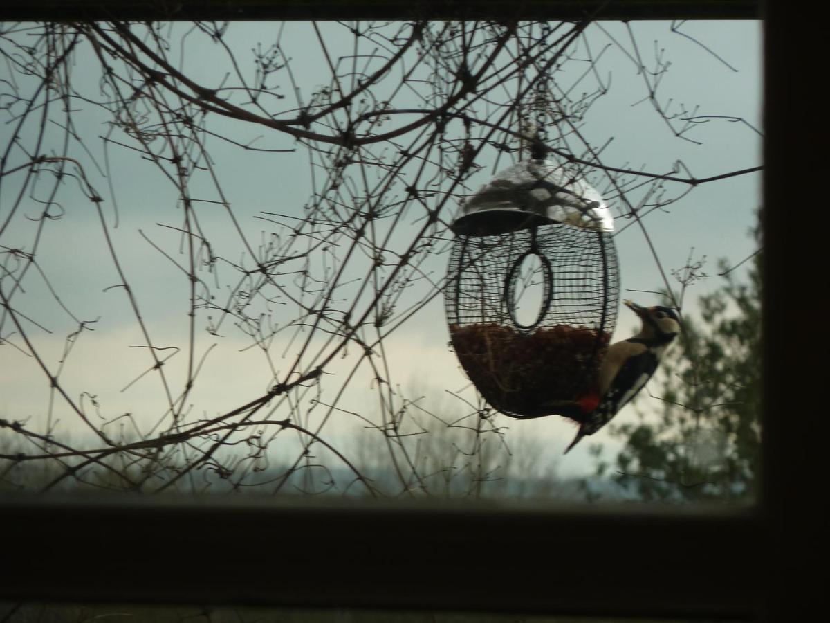 The Lodge, At Orchard Cottage Much Marcle 외부 사진